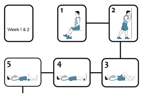 Rehabilitation Protocol