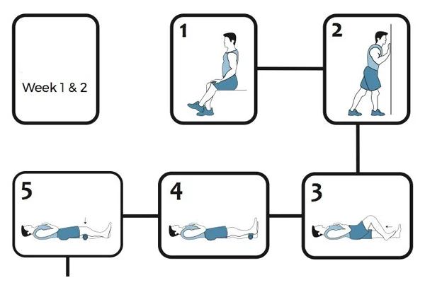 Rehabilitation Protocol